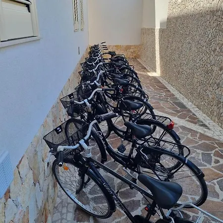 Albatros Porto Cesareo